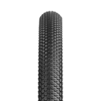 XCV